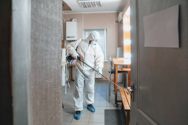 Professional Mold Removal in Glencoe, AL